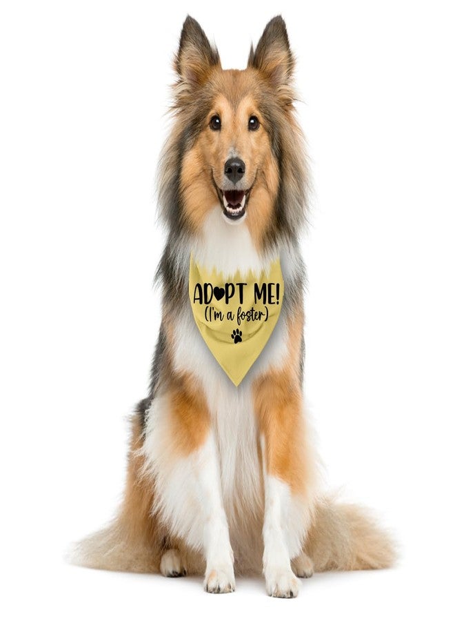 ZPPRJF Adopt Me I'm a Foster Dog Bandana, Adopted Puppy Bandana Baby Dog Announcement Tie on Scarf, Yellow Dogs Bandanas, Pet Scarf Accessories for Small Medium Dogs Cats Photo Prop - Image 3